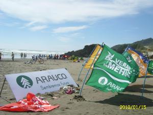Turistas de Mehuin denuncian a Celulosa Arauco por utilizar a nios en la playa